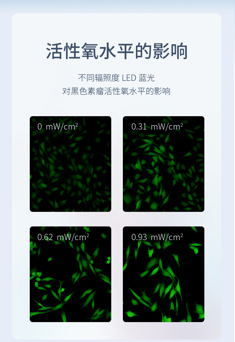 頸舒通詳情（加臨床報(bào)告）_13.jpg