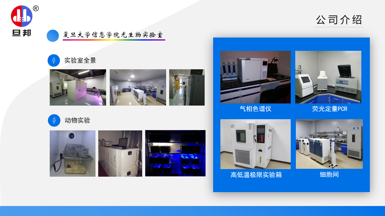 中山旦邦光電科技文化(圖2)