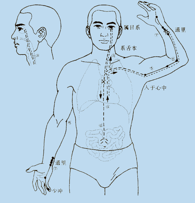 為什么說吃西藥等于動(dòng)刀子？(圖3)